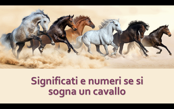 Significati e numeri se si sogna un cavallo 1 Sogni e numeri per le estrazioni del lotto di oggi 28/01/2017