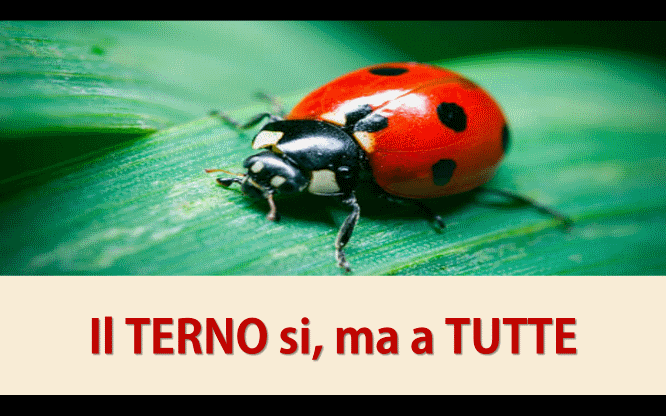 Il TERNO sì, ma a TUTTE 1 Previsioni per le estrazioni del lotto di oggi 13/07/2017